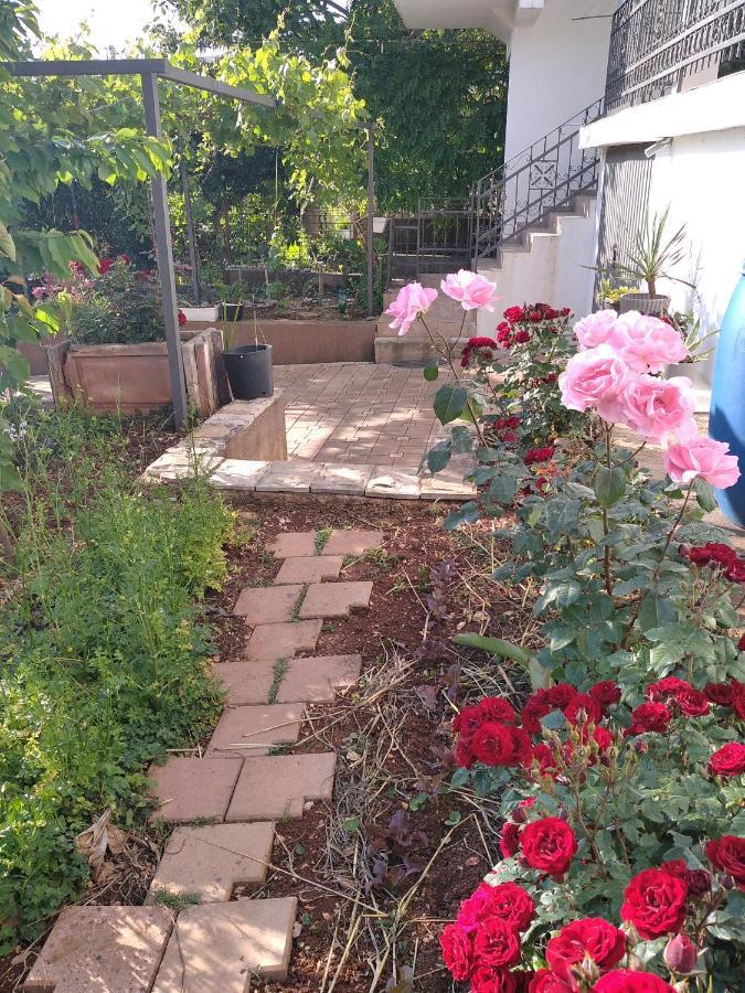 Aparttoni Dobra Voda Exteriér fotografie